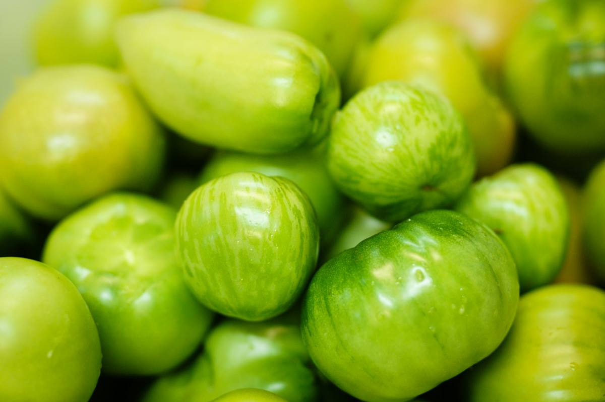 tomates vertes variétés anciennes